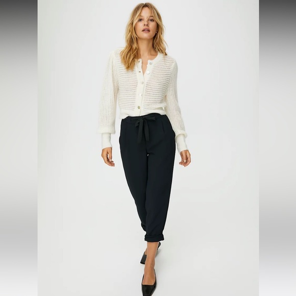 Aritzia - Wilfred Allant Pant - Picture 5 of 5